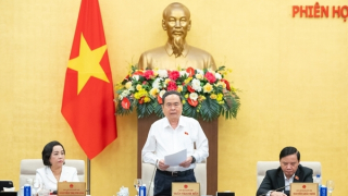 Kỳ họp thứ Nhất, Quốc hội khoá XVI: thực hiện công tác nhân sự, cho ý kiến, thông qua nhiều luật, nghị quyết